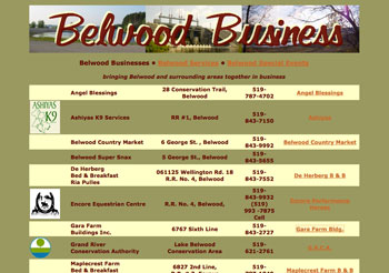 Belwood Business website design